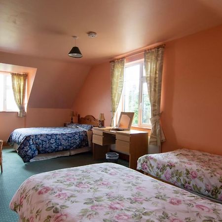 Ferryview B&B V23 X577 Cahersiveen Dış mekan fotoğraf